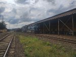 RUMO 603